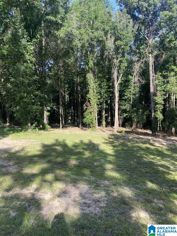 424 Cedar Springs Road West Blocton, AL 35184 - Photo 16 of 26 Gallery Image 16
