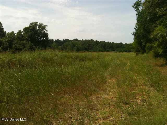 River Terminal Road Natchez, MS 39120 - Photo 3 of 6 2011000292_3