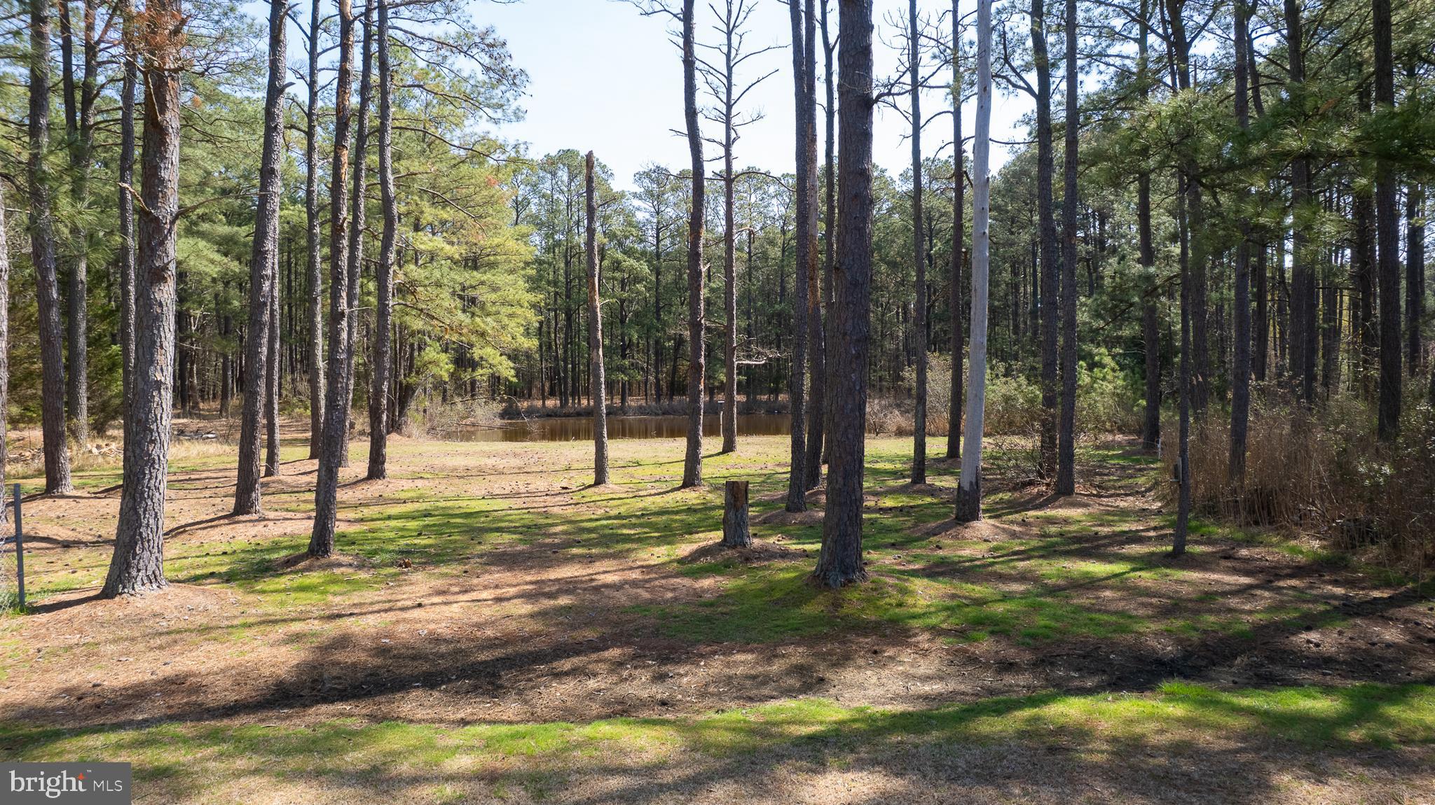 5213 David Greene Road Cambridge, MD 21613 - Photo 21 of 31