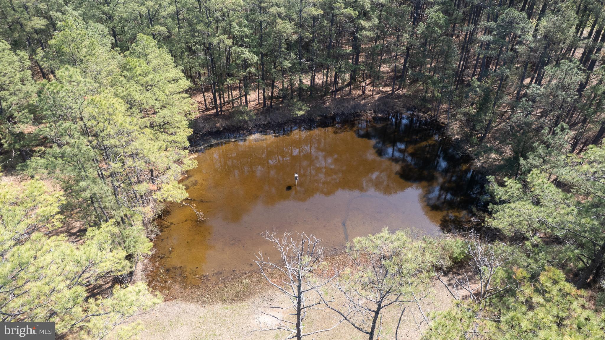 5213 David Greene Road Cambridge, MD 21613 - Photo 24 of 31