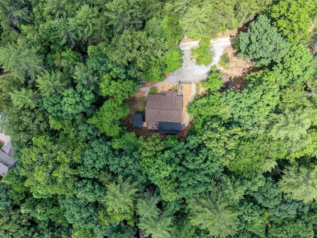 139 Dowd Road Morganton, GA 30560 - Photo 49 of 55