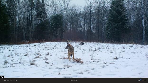 44047 Little Pine Road, Unit 568 ACRES Emily, MN 56447 - Photo 92 of 92