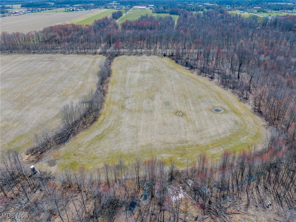 Moff Road Road Atwater, OH 44201 - Photo 18 of 33 Bird's eye view with a rural view