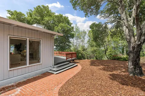 a view of a backyard with a large tree