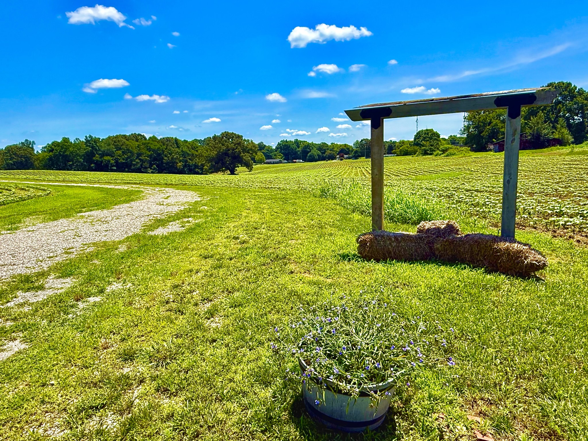 8 Lambs Ferry Road Leoma, TN 38468 - Photo 32 of 53