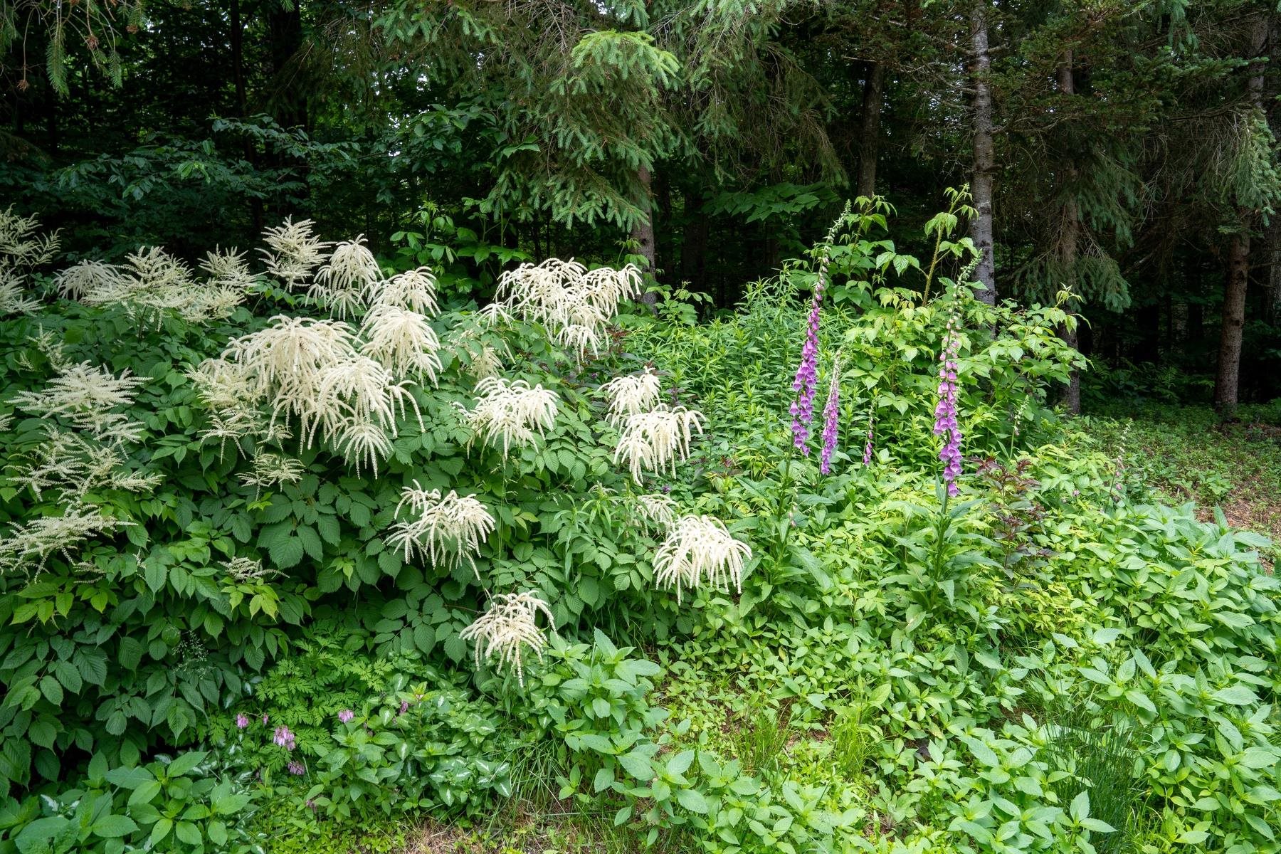 29 Strattonwald Road Winhall, VT 05340 - Photo 7 of 29