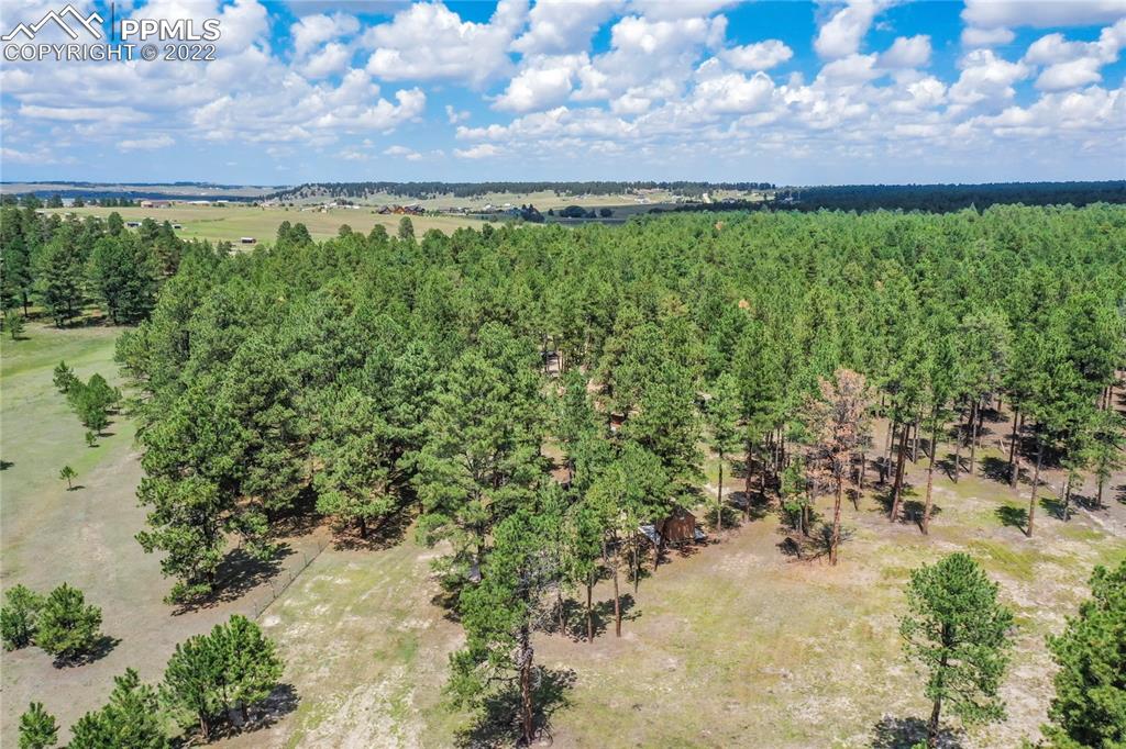 9155 Morgan Road Colorado Springs, CO 80908 - Photo 7 of 41 a view of a field with a yard
