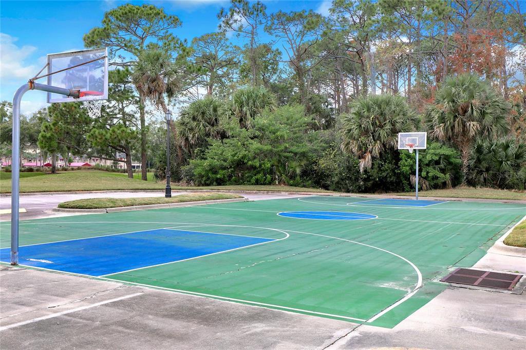 426 Long Cove Road Ormond Beach, FL 32174 - Photo 43 of 73 a view of a park