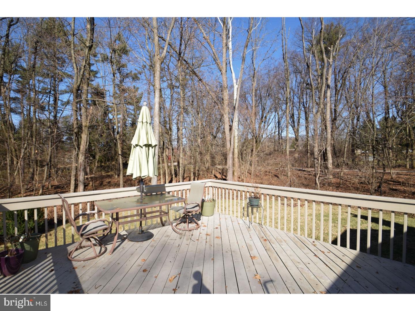 1226 Cedar Road Ambler, PA 19002 - Photo 9 of 14 Deck