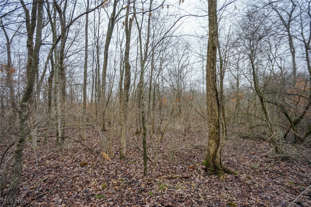 Red Lane Road Cumberland, OH 43732 - Photo 8 of 18 View of local wilderness