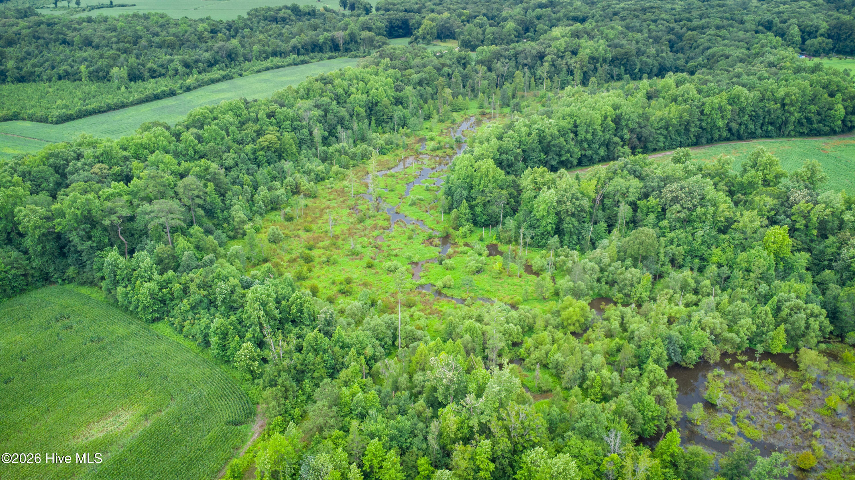 1601 Hill Neck Road Ernul, NC 28527 - Photo 31 of 33 Over 230 Acres of Opportunity
