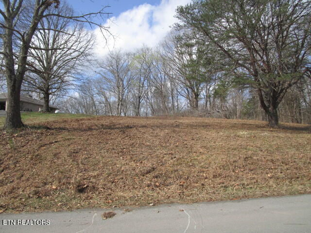 285 McKinney Road Blaine, TN 37709 - Photo 1 of 5 IMG_4357