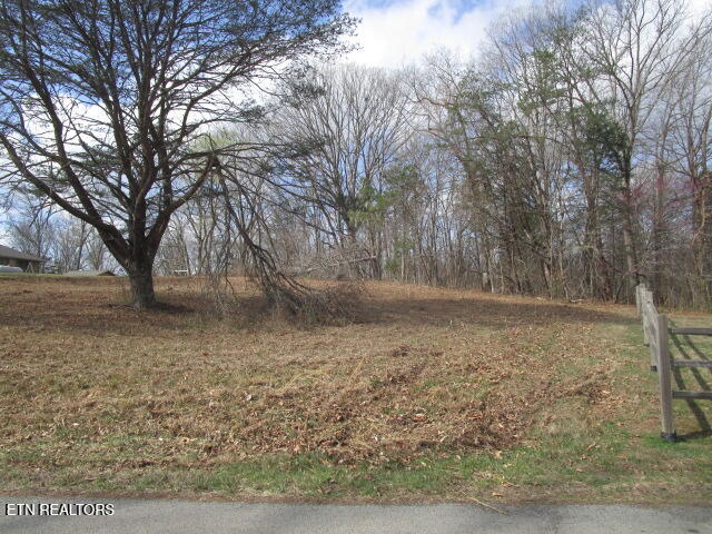 285 McKinney Road Blaine, TN 37709 - Photo 2 of 5 IMG_4358