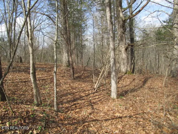 $89,900 | 285 McKinney Road, Blaine, TN 37709