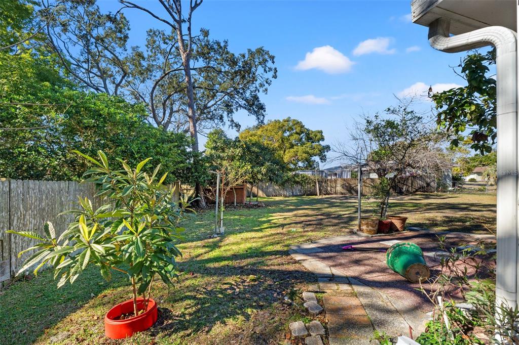 7222 Holiday Drive Spring Hill, FL 34606 - Photo 35 of 50 a view of a yard