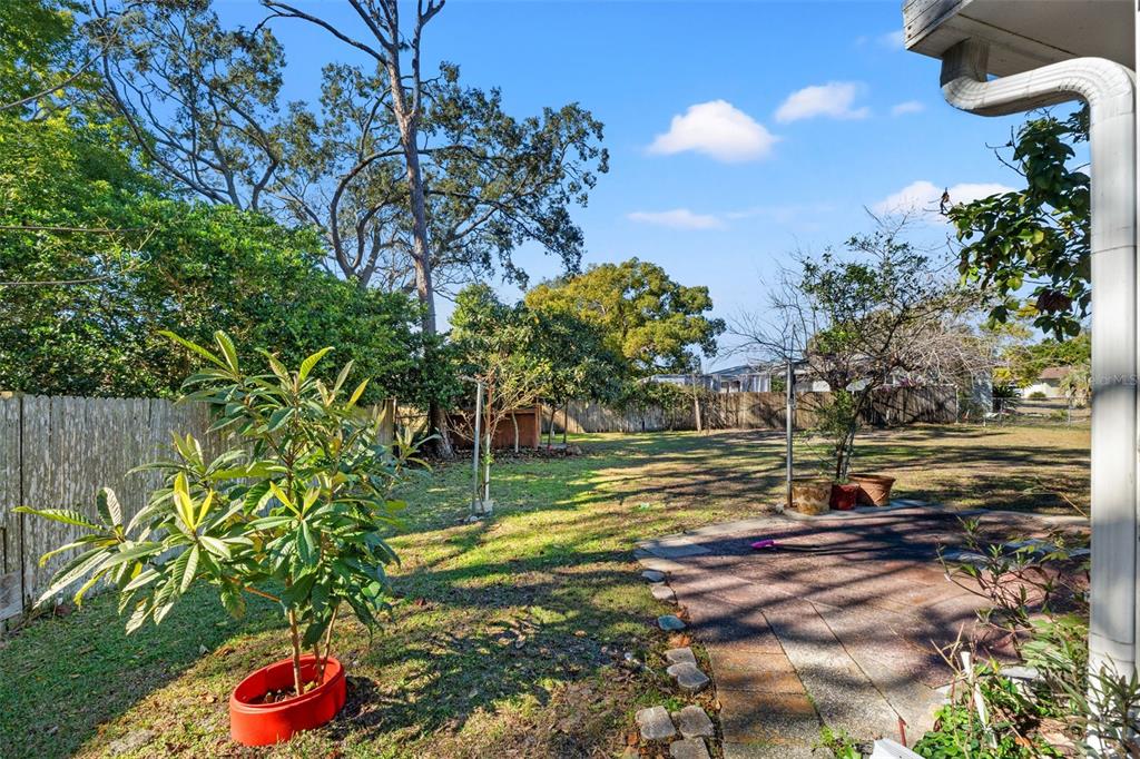 7222 Holiday Drive Spring Hill, FL 34606 - Photo 37 of 50 a view of a yard
