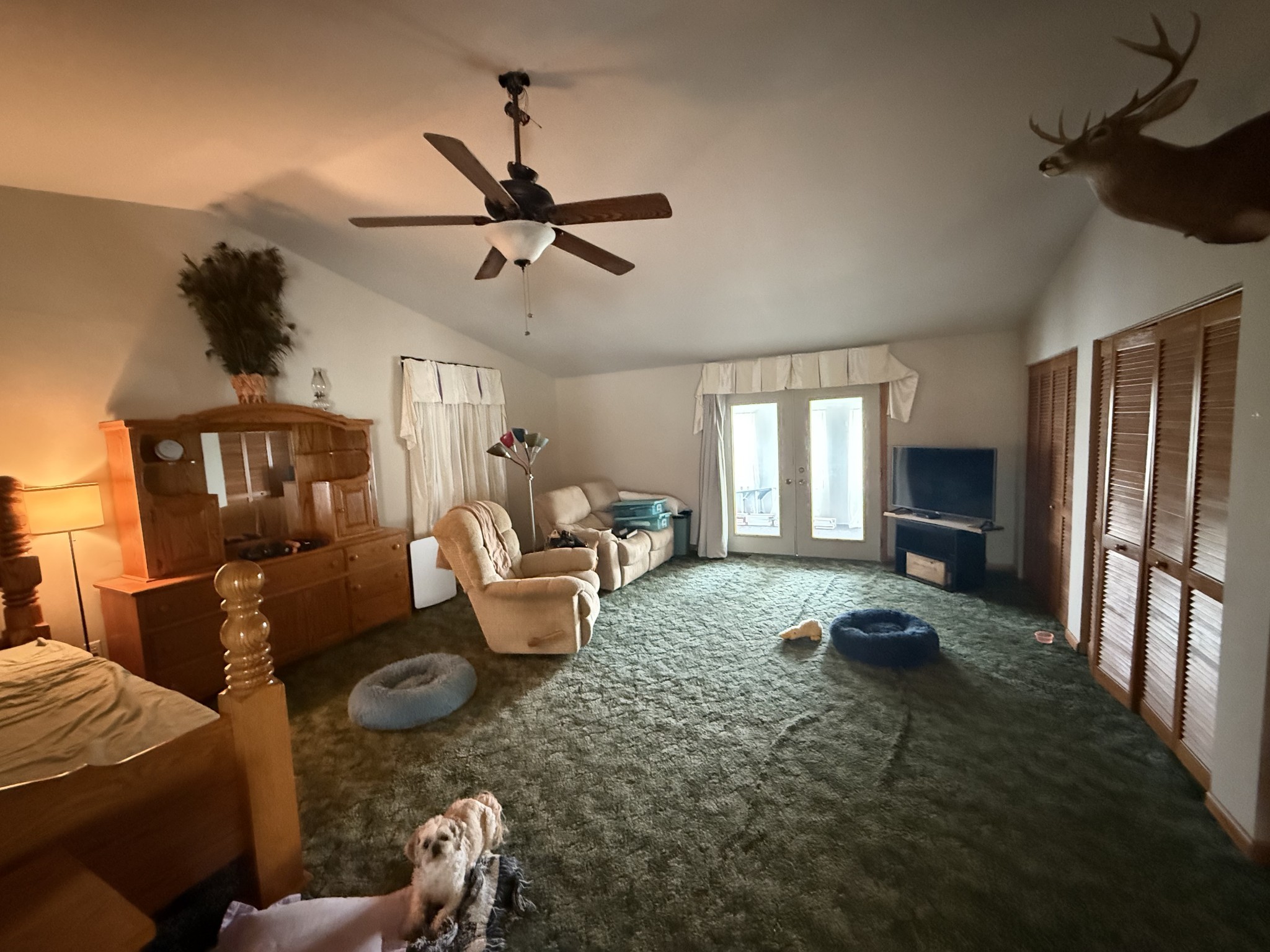 5 Carol Road Summertown, TN 38483 - Photo 25 of 60 a living room with furniture and a window