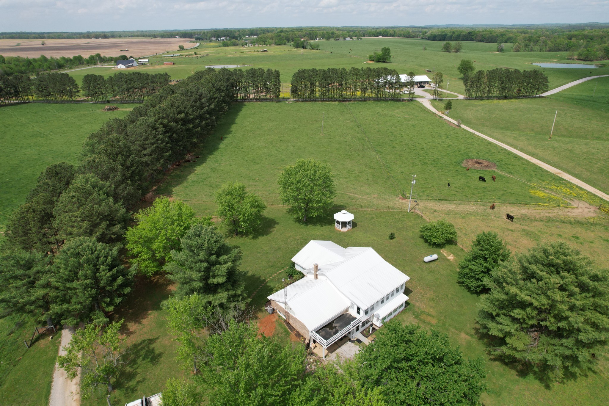 5 Carol Road Summertown, TN 38483 - Photo 3 of 60 a view of a city