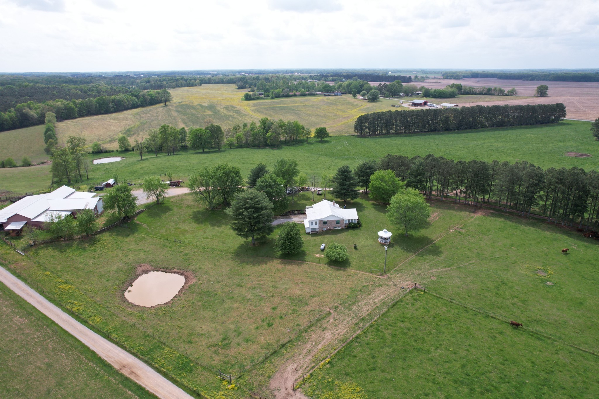 5 Carol Road Summertown, TN 38483 - Photo 4 of 60 a view of a lake with a yard