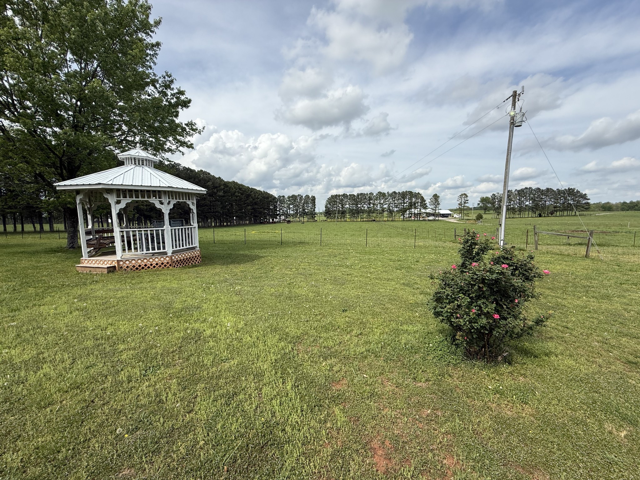 5 Carol Road Summertown, TN 38483 - Photo 55 of 60 a ocean view with a garden