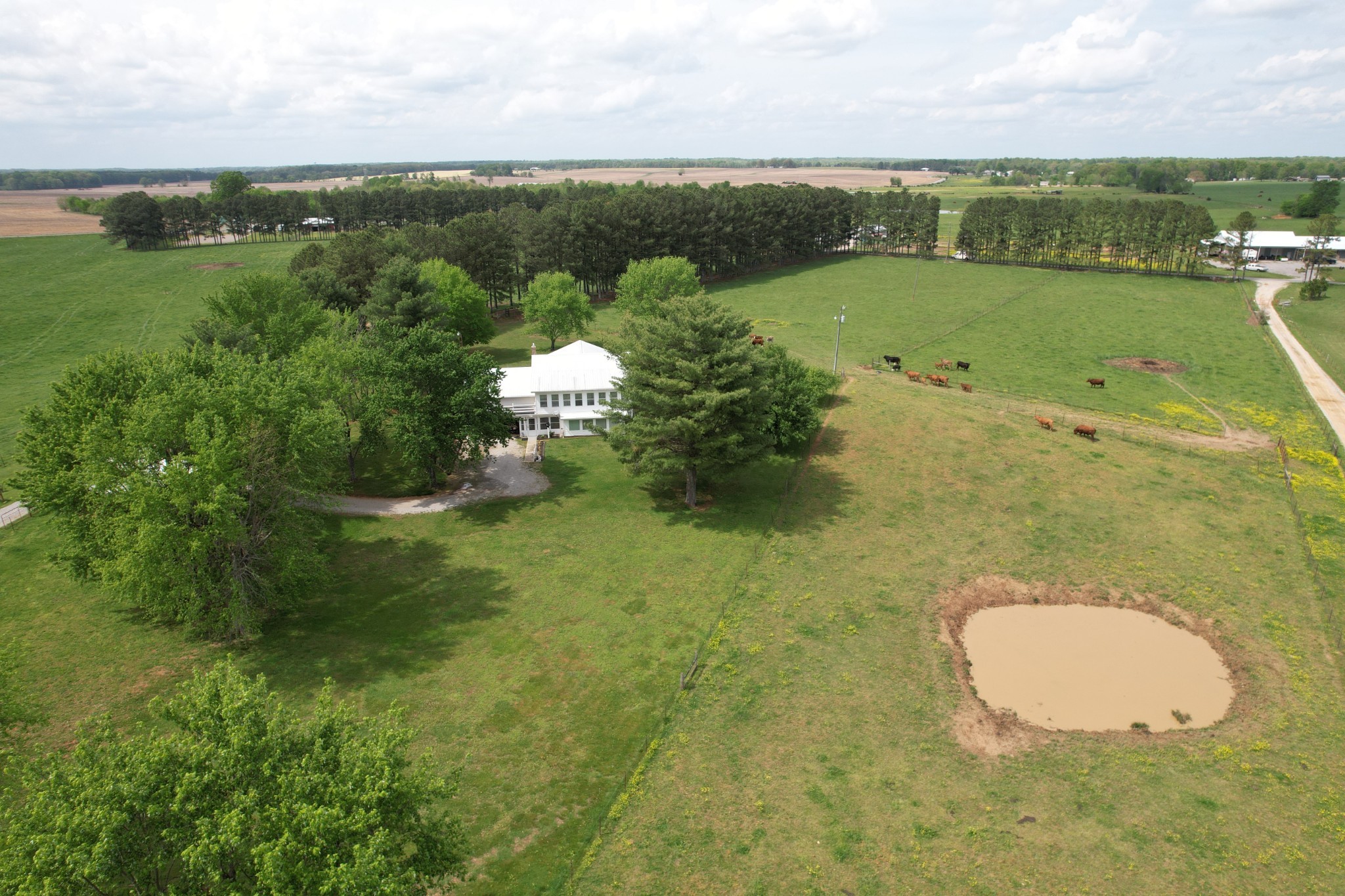 5 Carol Road Summertown, TN 38483 - Photo 59 of 60 a view of a lake with a yard