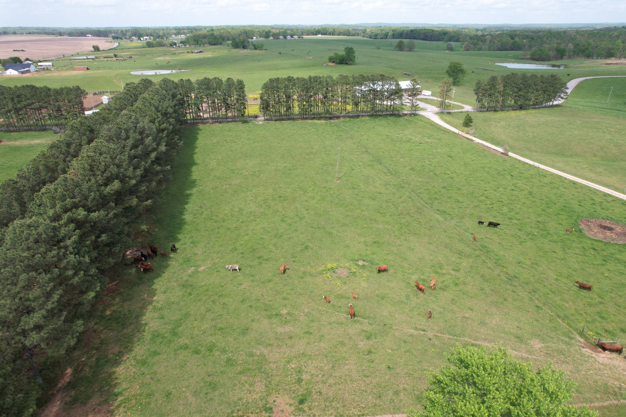 5 Carol Road Summertown, TN 38483 - Photo 60 of 60 a view of a lake with a city view