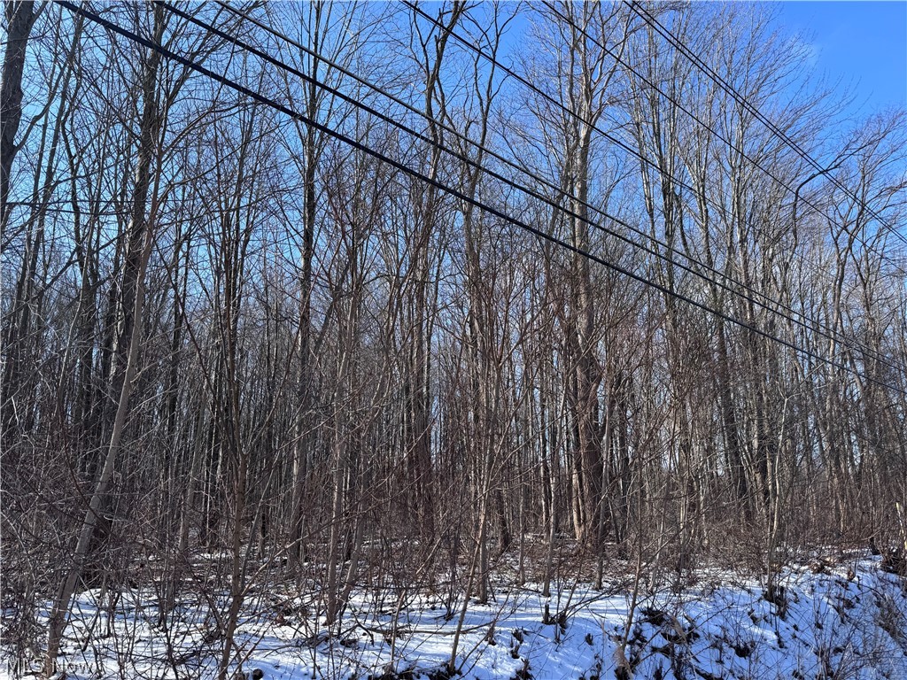 2 Leroy Center Road Painesville, OH 44077 - Photo 15 of 18 Gallery Image 15