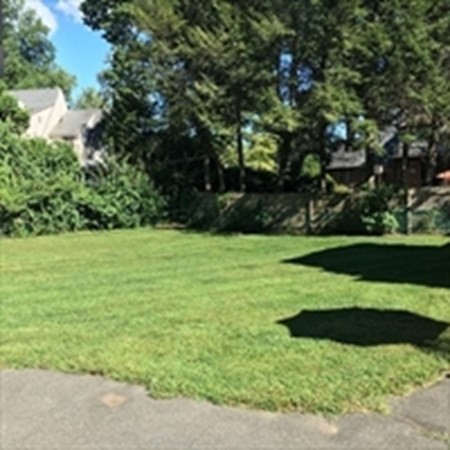 175 Brittany Road Springfield, MA 01151 - Photo 14 of 16 a view of a garden with a tree