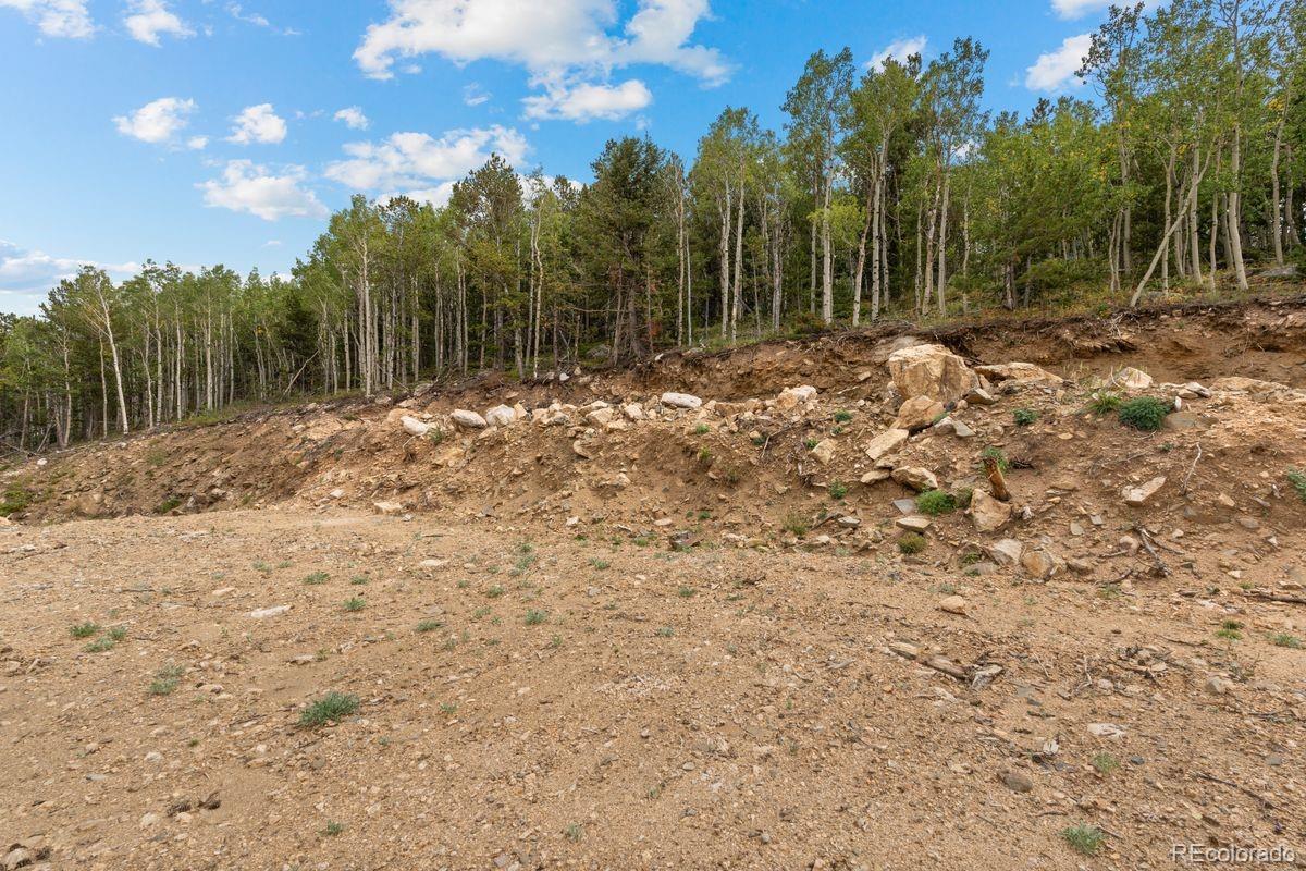 620 Rangeview Drive Black Hawk, CO 80422 - Photo 11 of 13