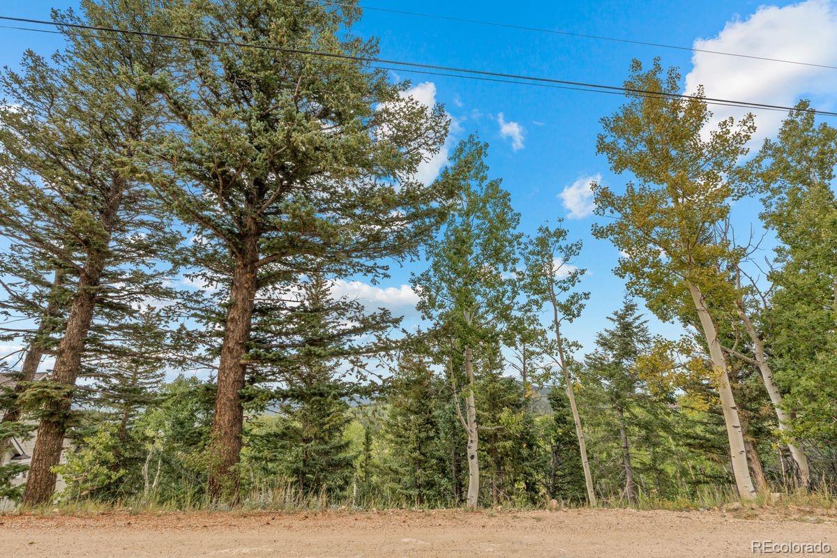 620 Rangeview Drive Black Hawk, CO 80422 - Photo 6 of 13