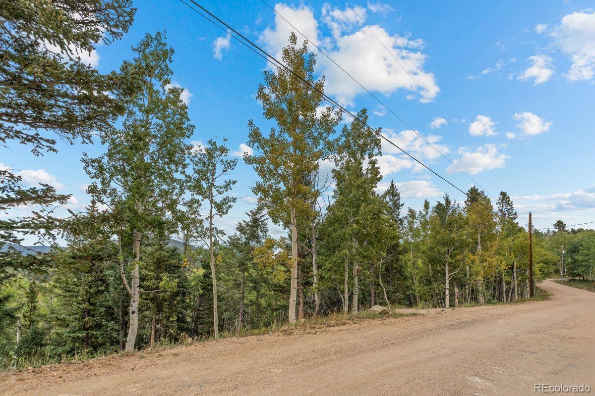 620 Rangeview Drive Black Hawk, CO 80422 - Photo 7 of 13