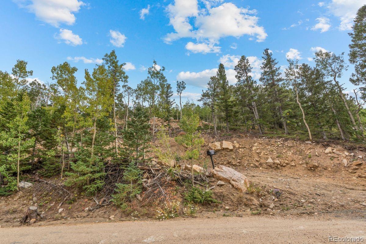 620 Rangeview Drive Black Hawk, CO 80422 - Photo 8 of 13