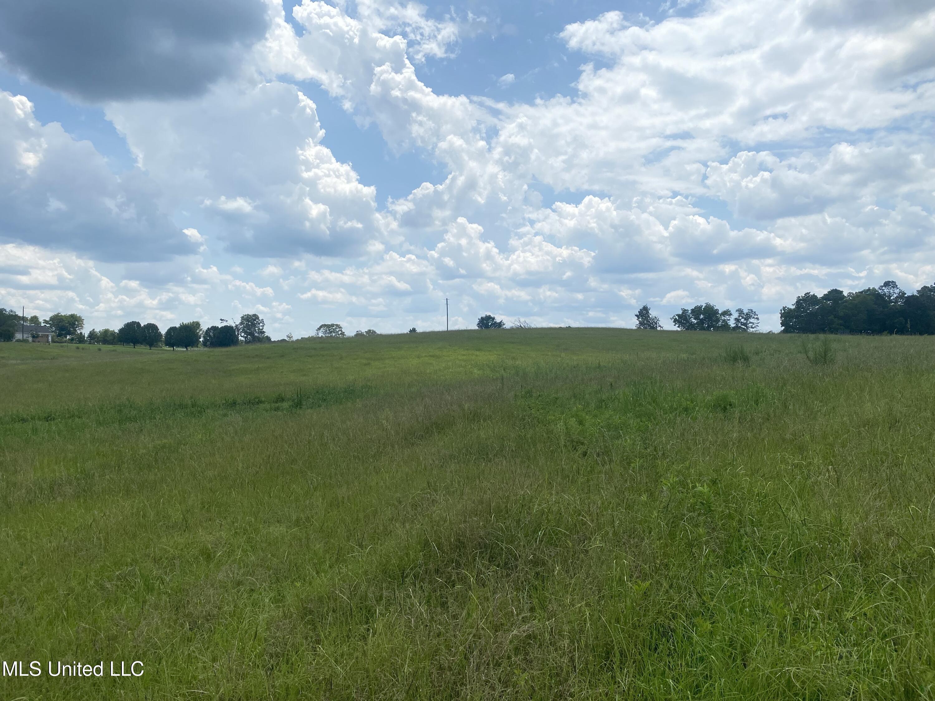County Line Road Road Carthage, MS 39051 - Photo 11 of 45 Photo Jul 13, 1 56 20 PM