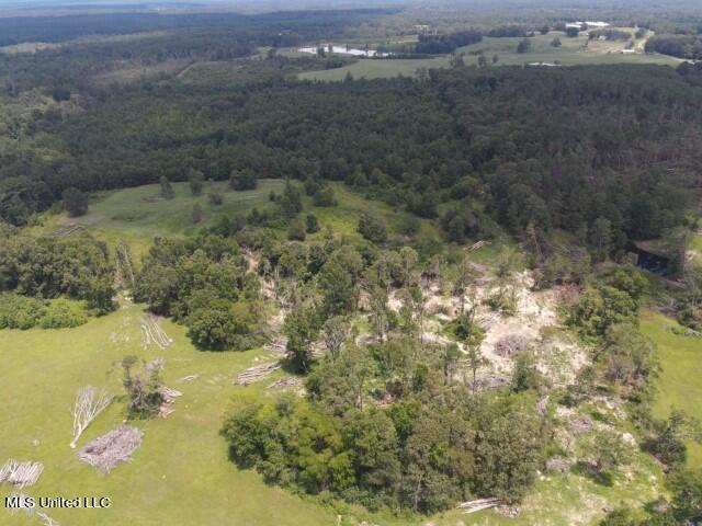 County Line Road Road Carthage, MS 39051 - Photo 12 of 45 1
