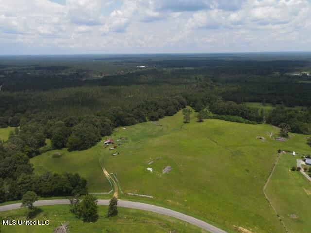 County Line Road Road Carthage, MS 39051 - Photo 13 of 45 2