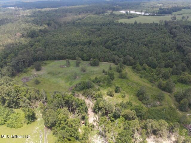 County Line Road Road Carthage, MS 39051 - Photo 14 of 45 3