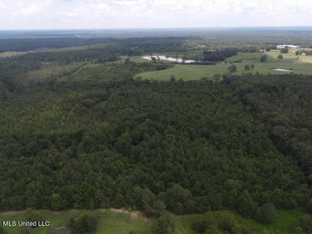 County Line Road Road Carthage, MS 39051 - Photo 15 of 45 4