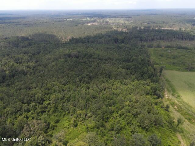 County Line Road Road Carthage, MS 39051 - Photo 16 of 45 5