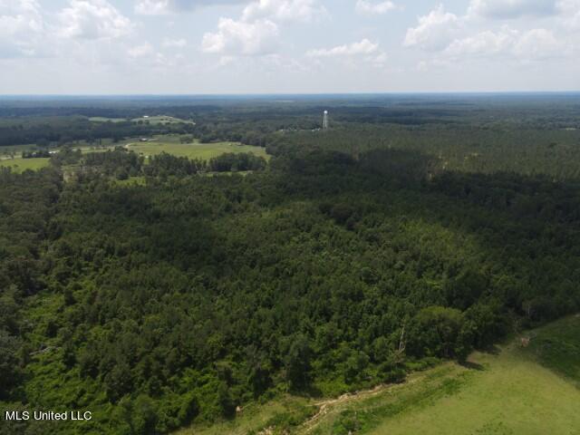 County Line Road Road Carthage, MS 39051 - Photo 17 of 45 6