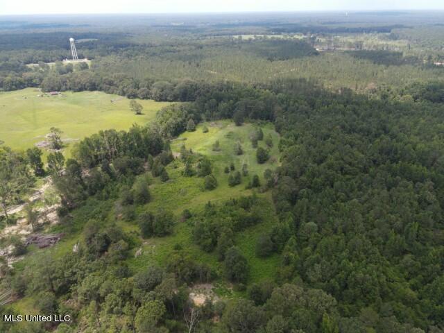 County Line Road Road Carthage, MS 39051 - Photo 18 of 45 7