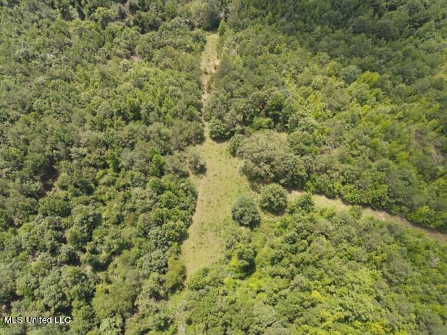 County Line Road Road Carthage, MS 39051 - Photo 20 of 45 9
