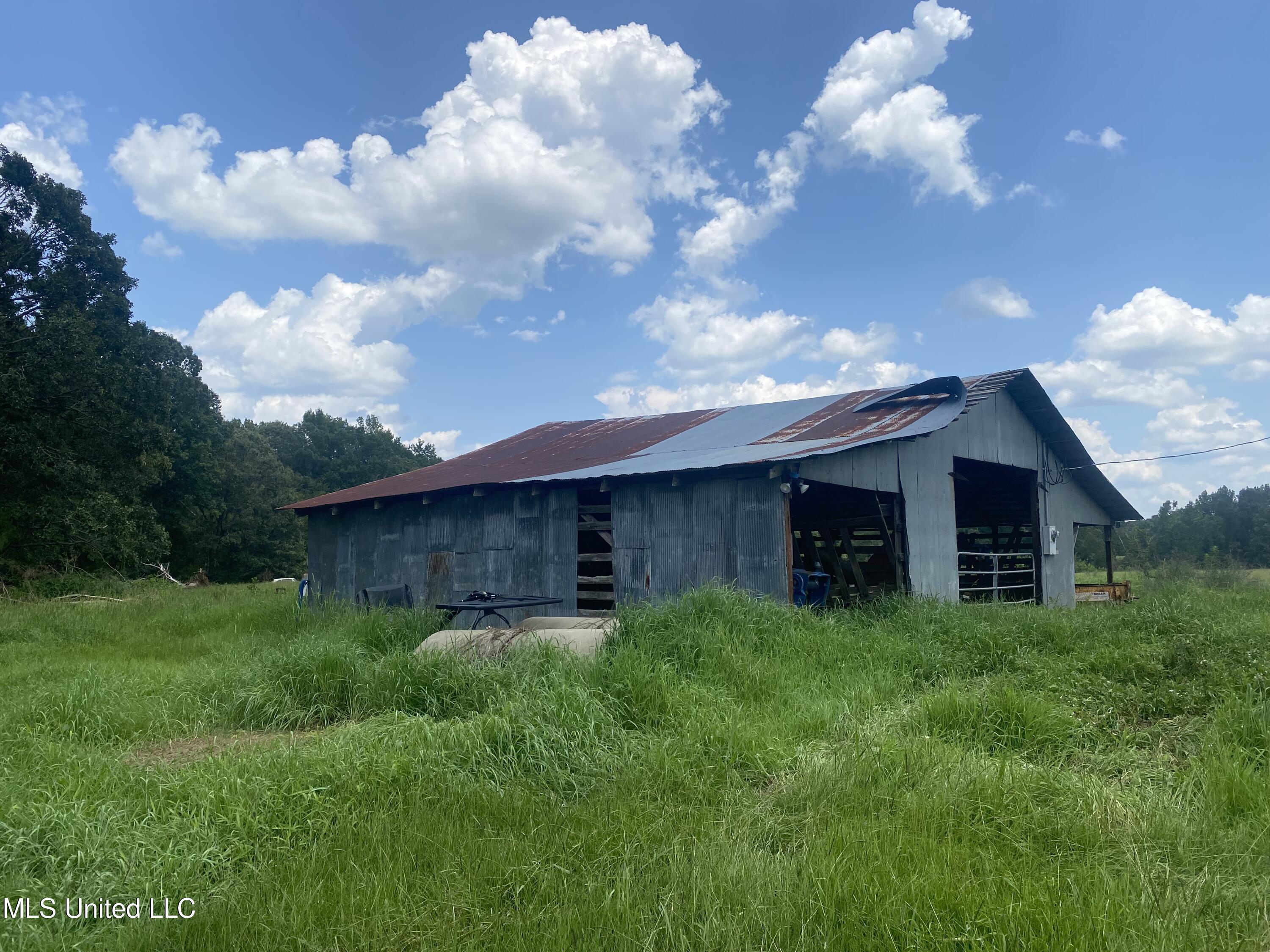 County Line Road Road Carthage, MS 39051 - Photo 2 of 45 Photo Jul 13, 1 53 59 PM