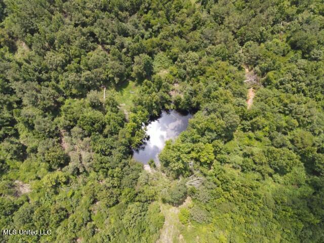 County Line Road Road Carthage, MS 39051 - Photo 21 of 45 10