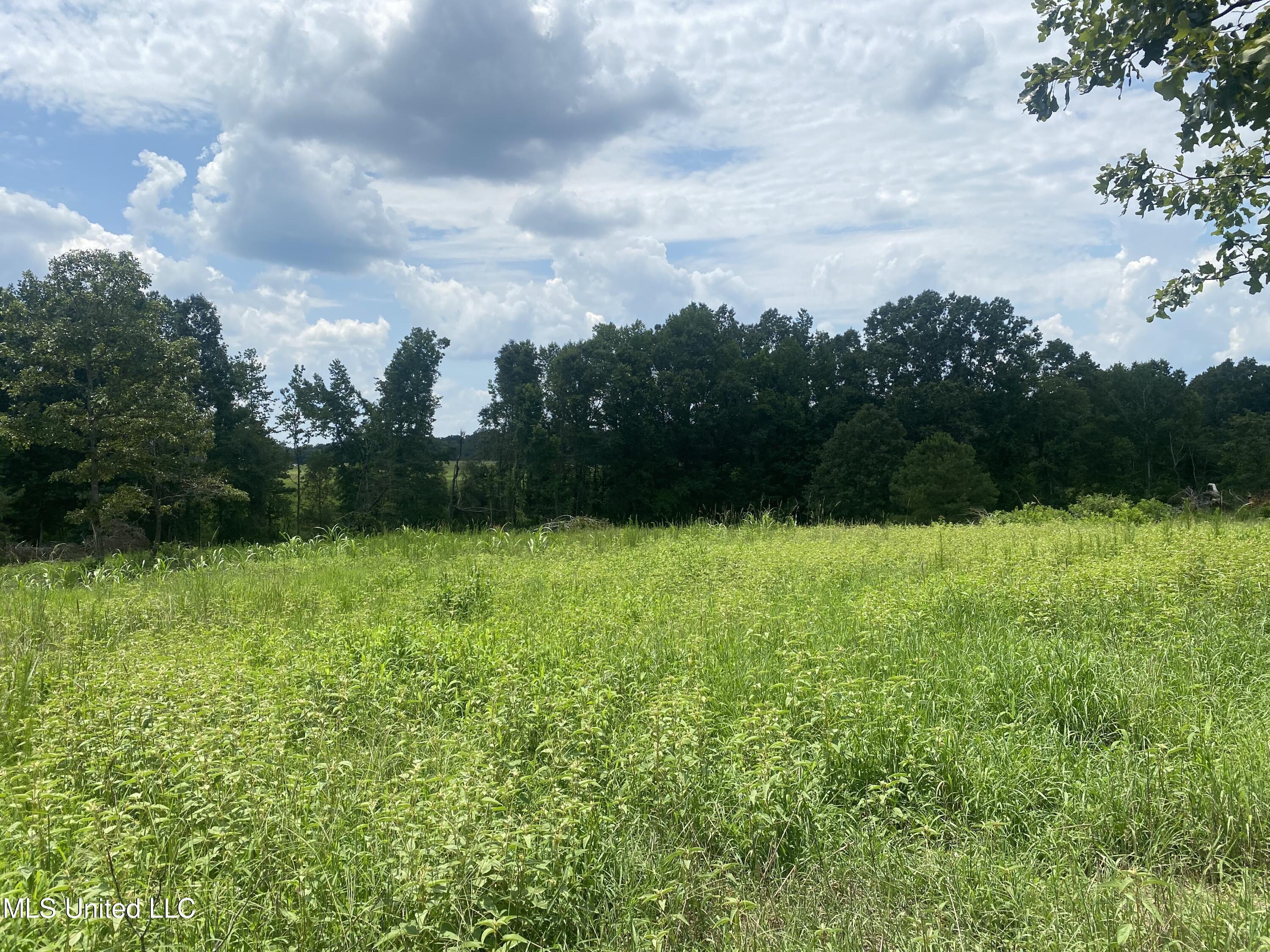 County Line Road Road Carthage, MS 39051 - Photo 39 of 45 Photo Jul 13, 2 02 04 PM