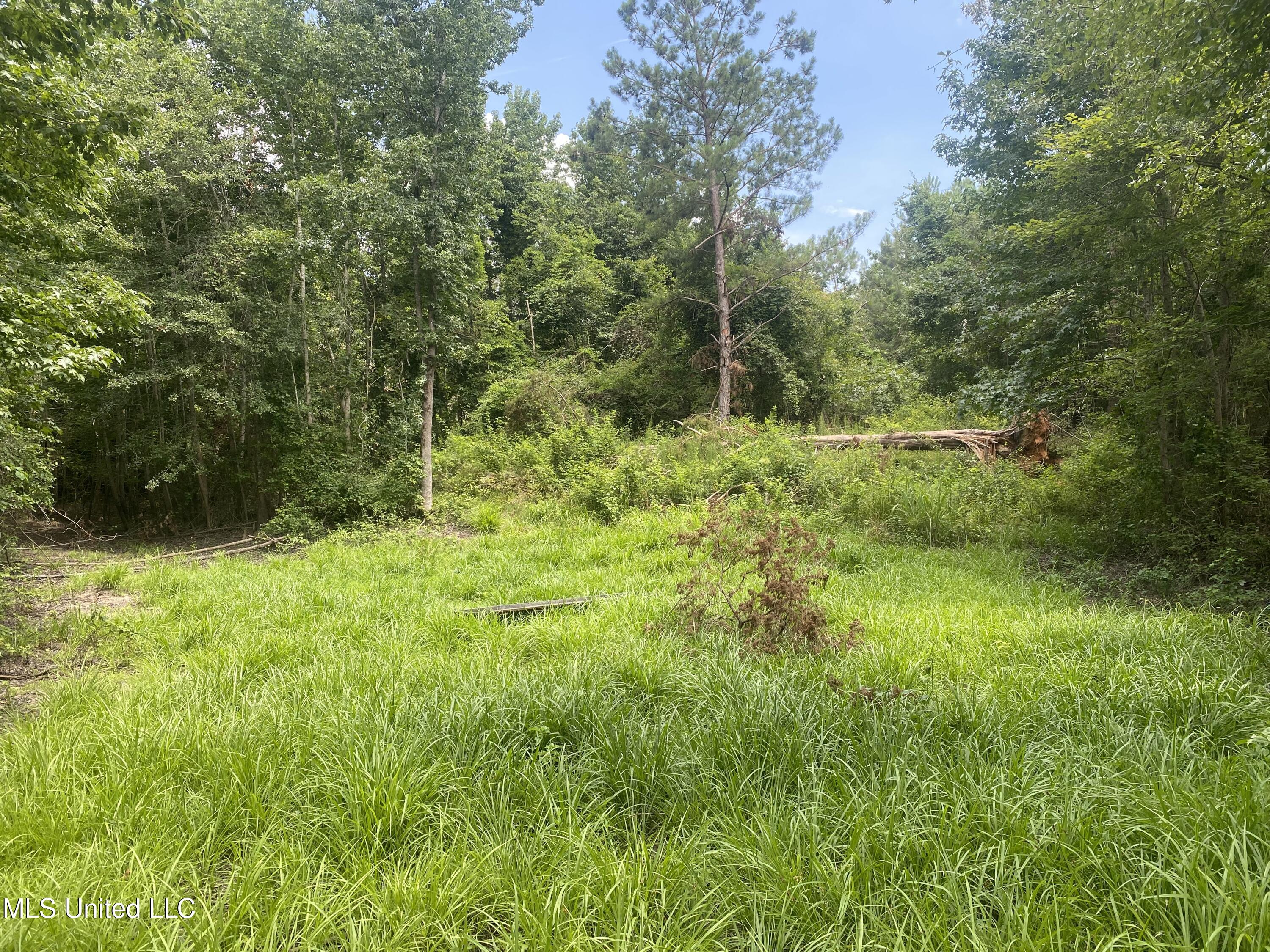 County Line Road Road Carthage, MS 39051 - Photo 40 of 45 Photo Jul 13, 2 09 13 PM