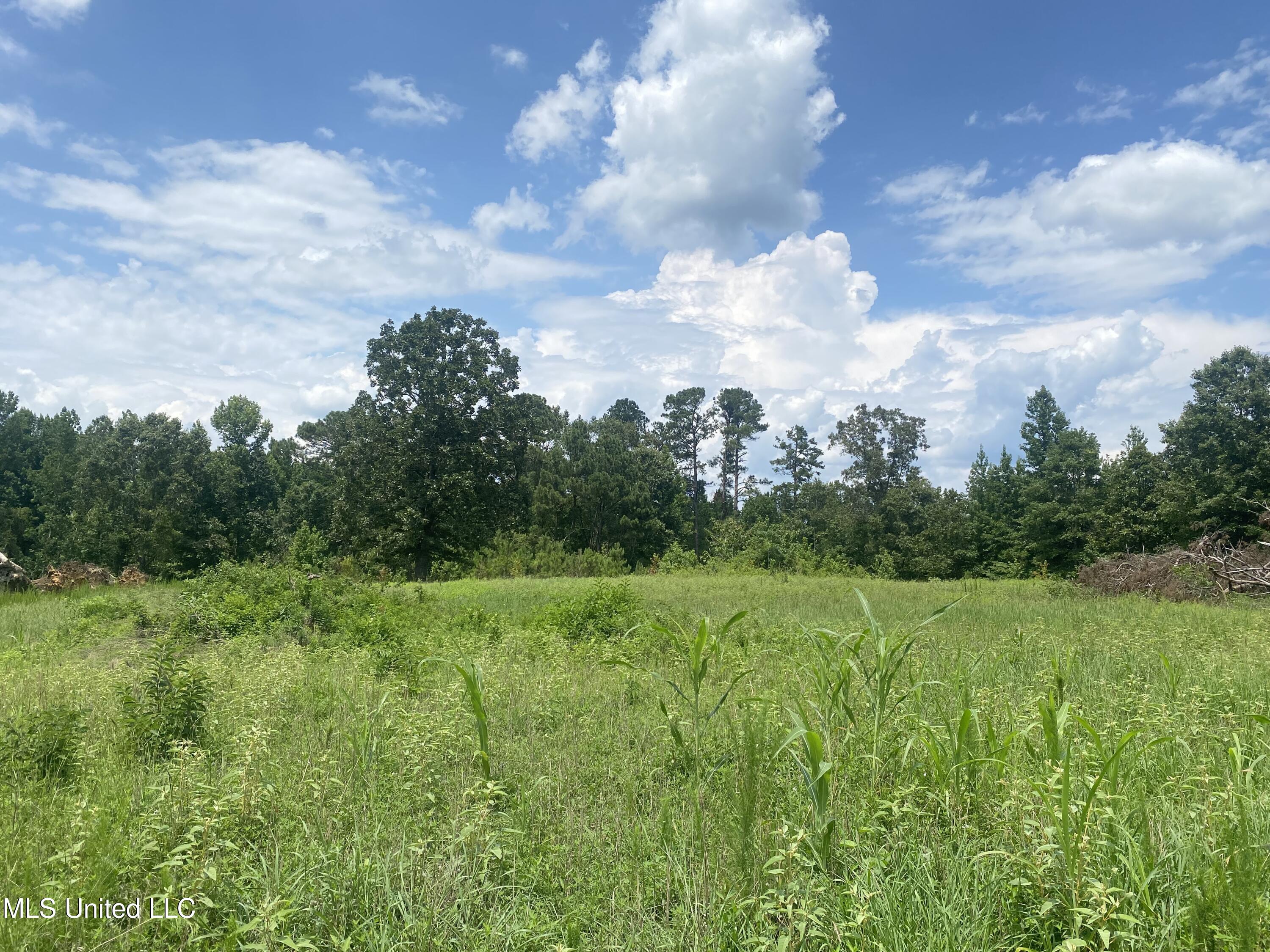County Line Road Road Carthage, MS 39051 - Photo 6 of 45 Photo Jul 13, 2 01 20 PM