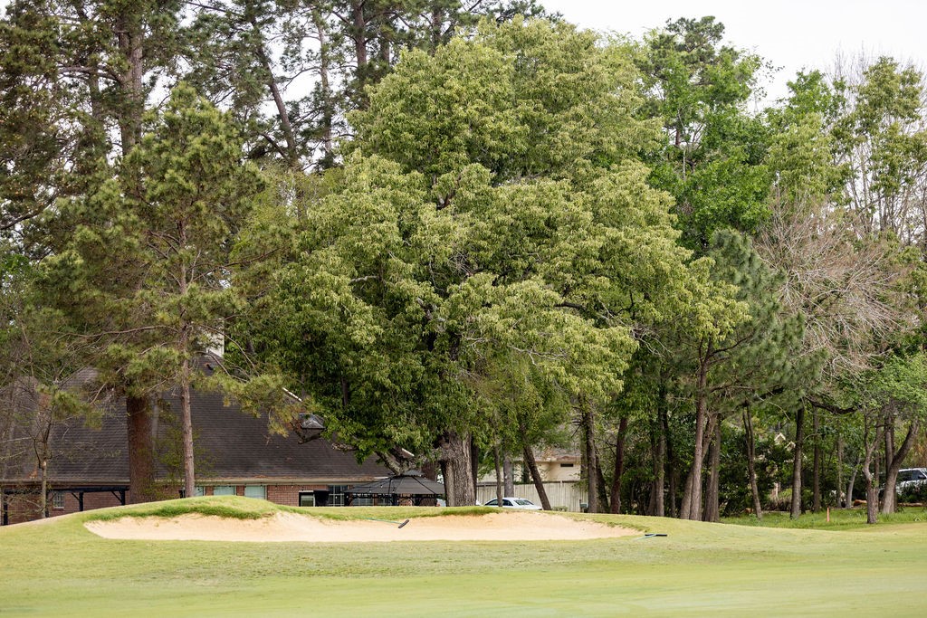 13151 Walden Road Montgomery, TX 77356 - Photo 23 of 25