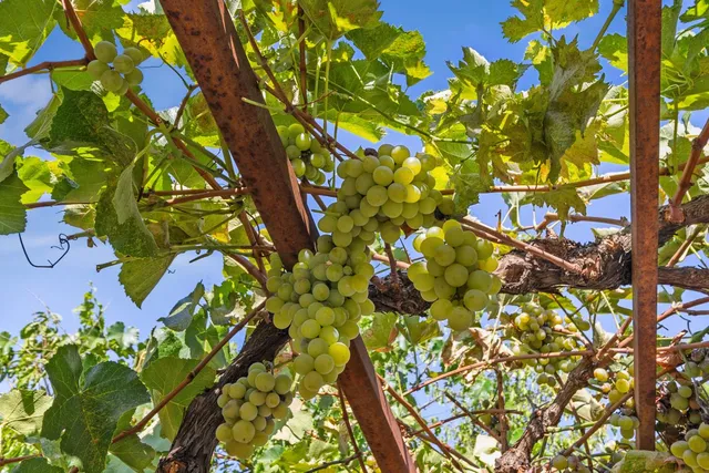 $635,000 | 5409 Mill Water Circle, Rancho Cordova, CA 95742