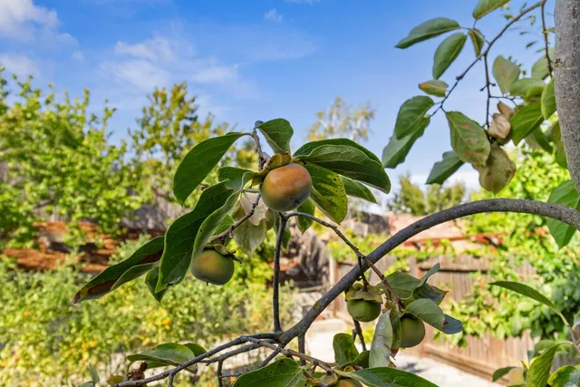 $635,000 | 5409 Mill Water Circle, Rancho Cordova, CA 95742