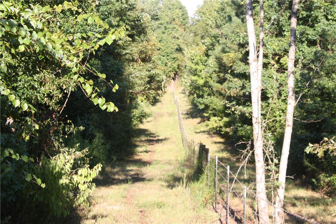 1147 Frost Tower Road West Monroe, LA 71292 - Photo 7 of 31 Gallery Image 7